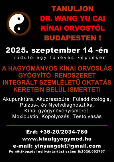 Yin-Yang Egészségügyi és Oktatási Központ, Dr. Wang hagyományos kínai orvoslás és oktatás